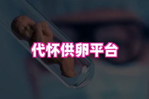 swisee孕网 3