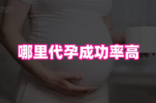 swisee孕网 4